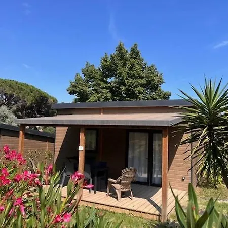 4 Etoiles - Piscine - Ccbga0g